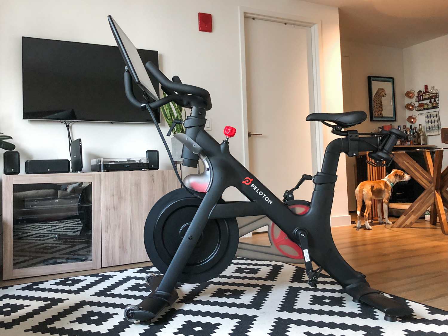 Best Exercise Bikes of 2024: Top Picks for Your Home Gym