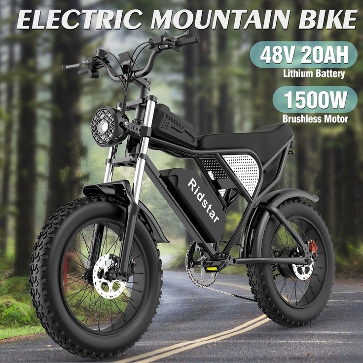 top-speed electric bikes.